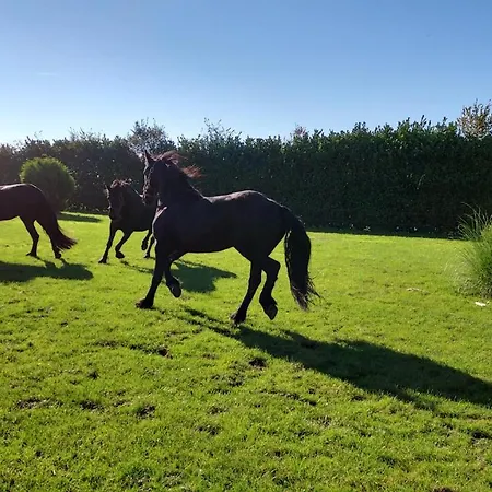 Hotel 61 Aan Het Water