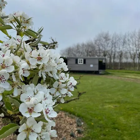 61 Aan Het Water * Medemblik