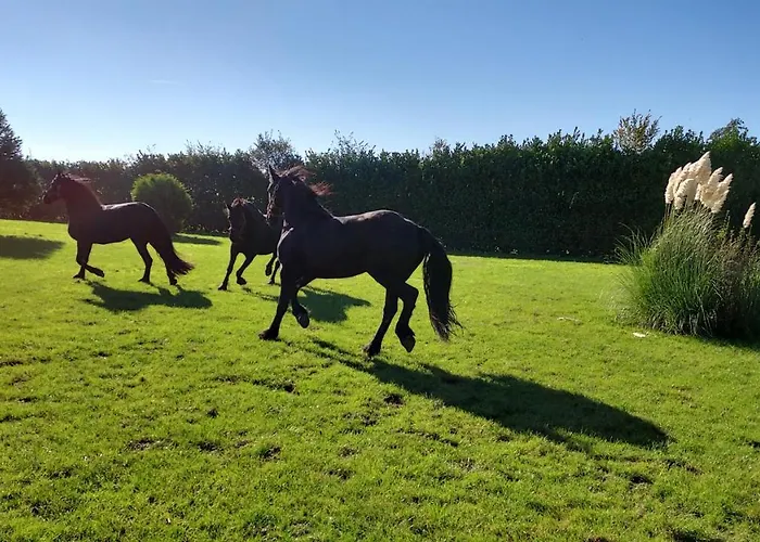 מלון 61 Aan Het Water