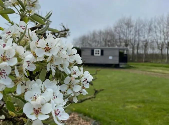 61 Aan Het Water * מדמבליק