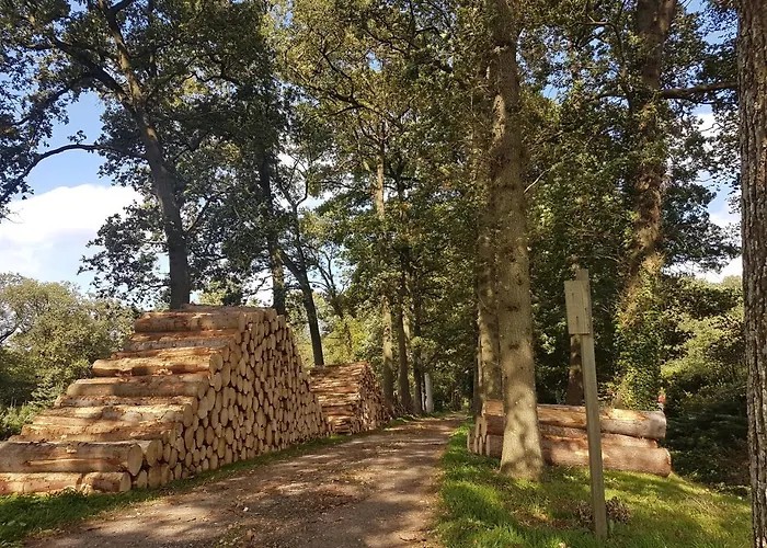 61 Aan Het Water * מדמבליק