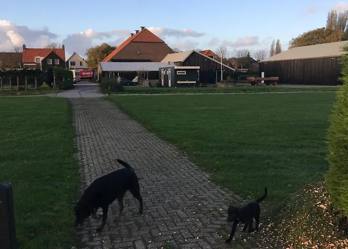 מלון 61 Aan Het Water